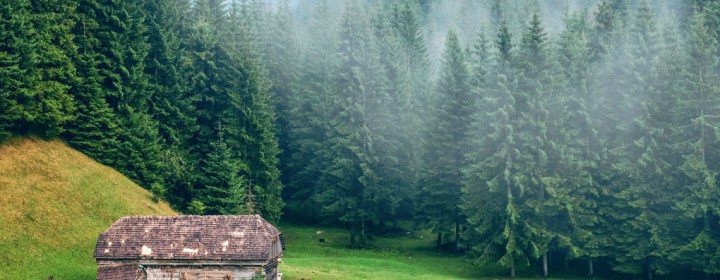 romania1