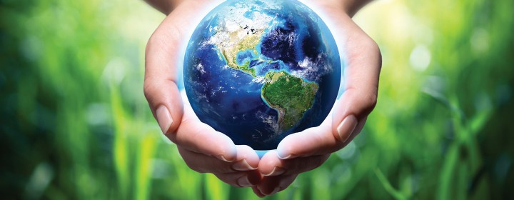 earth in hands - grass background - environment concept