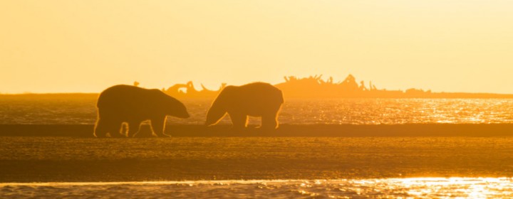 polar5