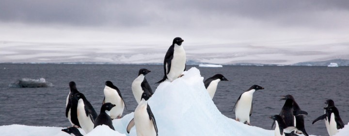 ice1