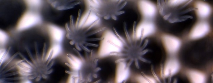 water2
