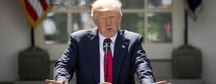 trump7