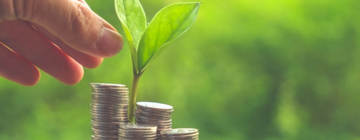 Money and plant with hand with filter effect retro vintage style